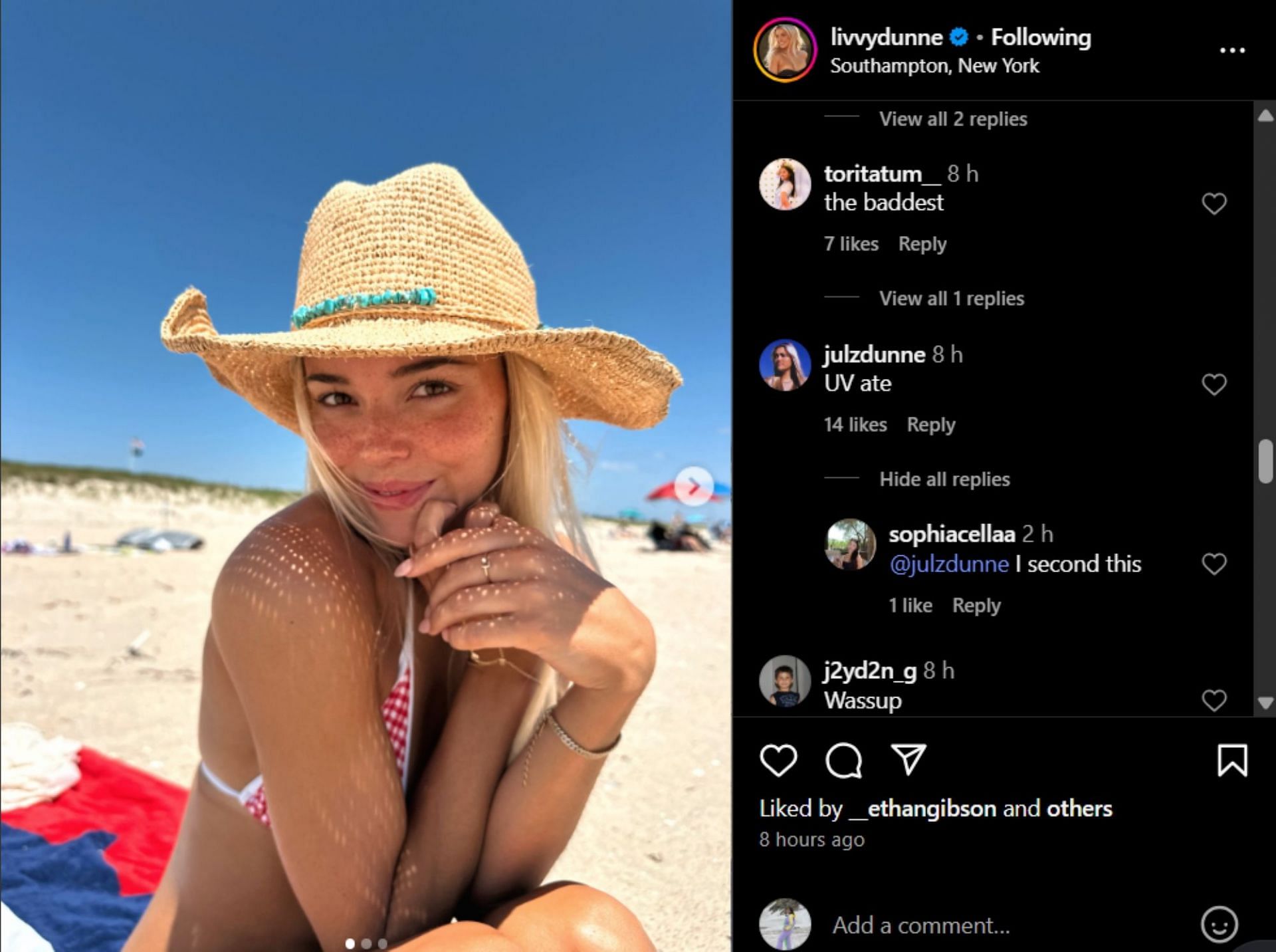 Julz comments on her sister's post; Instagram - @livvydunne